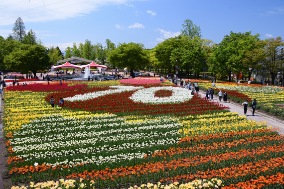 500_9277_01.JPG