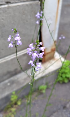 260422123020958_2.JPG