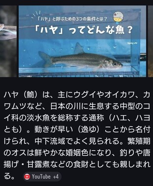 Screenshot_20260427-203230_2.png
