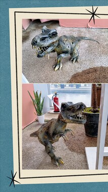20260423_211908-COLLAGE.jpg
