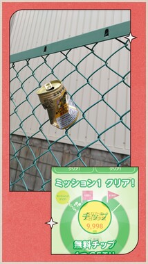 20260429_155822-COLLAGE.jpg