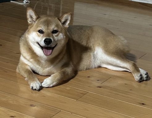 IMG_6764.jpeg
