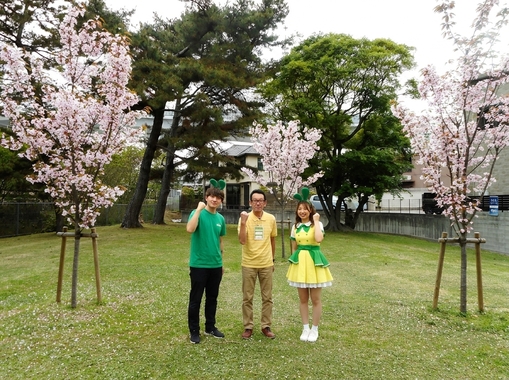 Three_people__cherry_blossoms_202604291854.jpeg