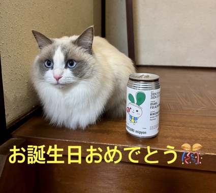 IMG_4347.jpeg