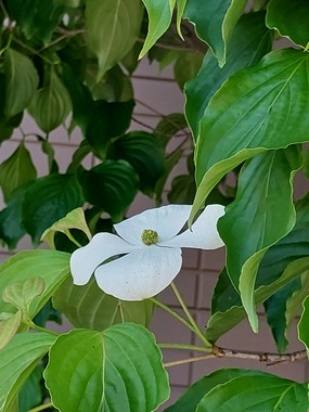 20240518_103019.jpg