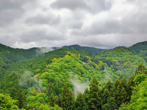 IMG_20260501_112739824_HDR_AE_2.jpg