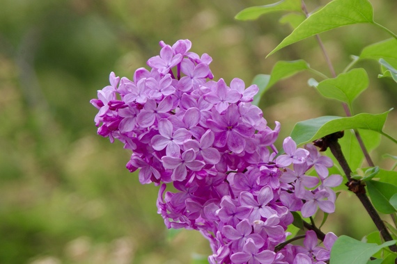 56161549db97c550b7ce1c6cd4451876.jpeg