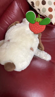 IMG_1974.png