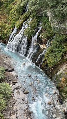 IMG_2002.jpeg