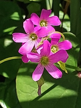 20240522_122535.jpg