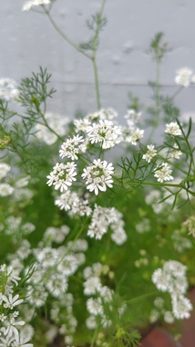 260503104016734.JPG