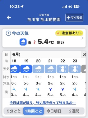 IMG_2008.jpeg