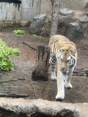 IMG_5959.jpeg