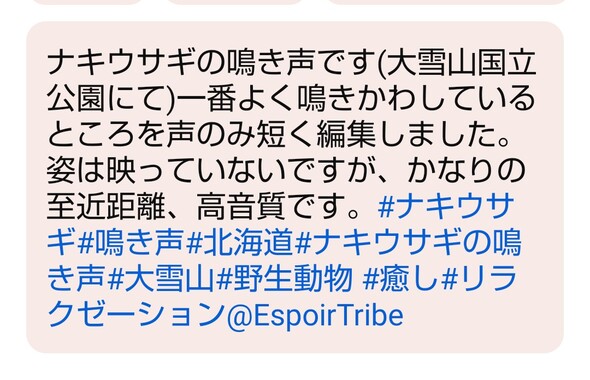 Screenshot_20260504-104939_2.png