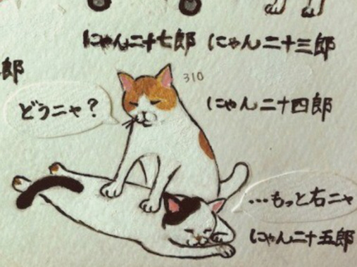 IMG_5642.png