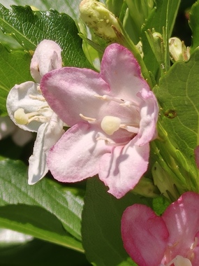 IMG20260505091655.jpg