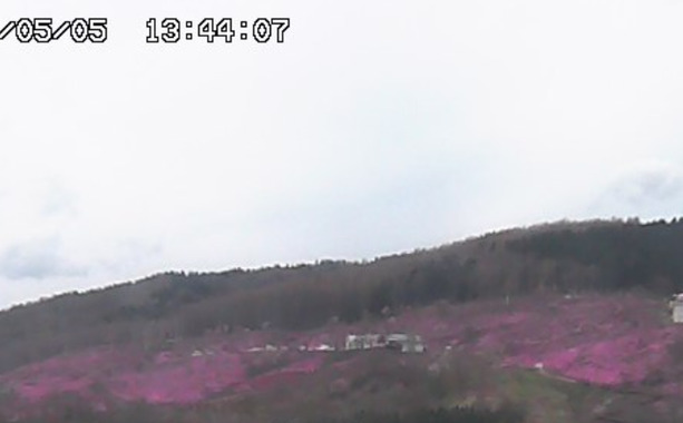 Screenshot_20260505-133747_(1).png