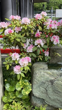 IMG_0579.jpeg