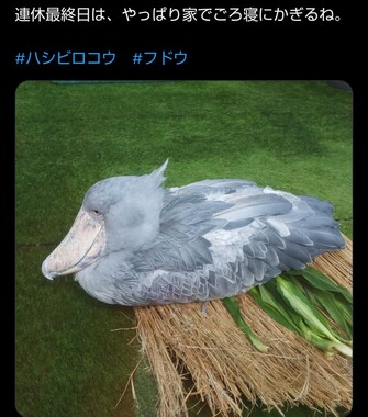 Screenshot_20260506-194730_2.png