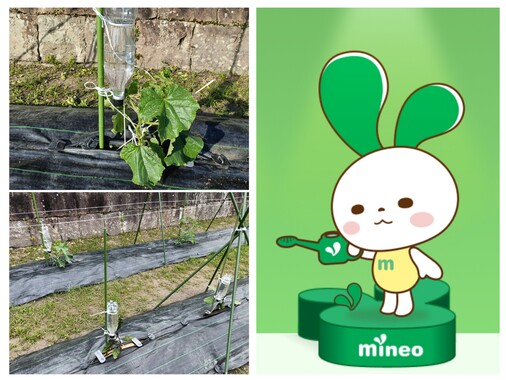 20260506_201106-COLLAGE.jpg