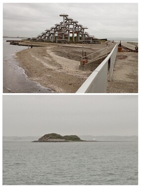 20260508_045743-COLLAGE.jpg