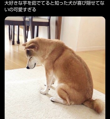 Screenshot_20260510-090214_2.png