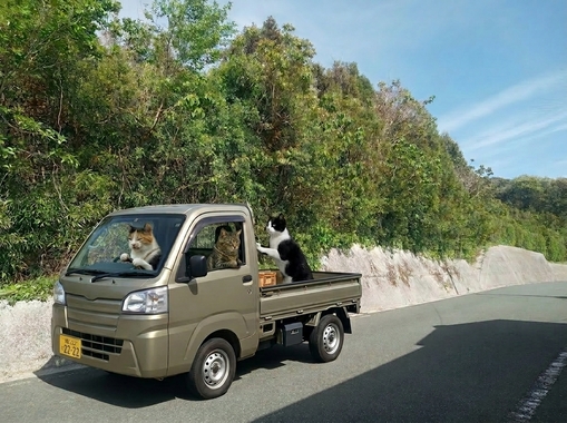 猫3匹が籠でミカン運ぶ_202604211529.jpeg