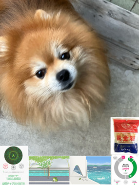 IMG_7229.jpeg