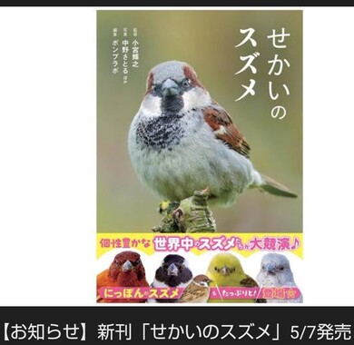 Screenshot_20260509-213028_2.png