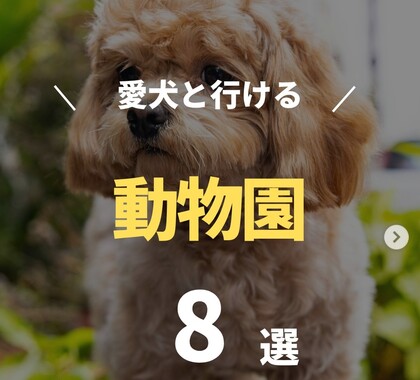 Screenshot_20260511-200459_2.png