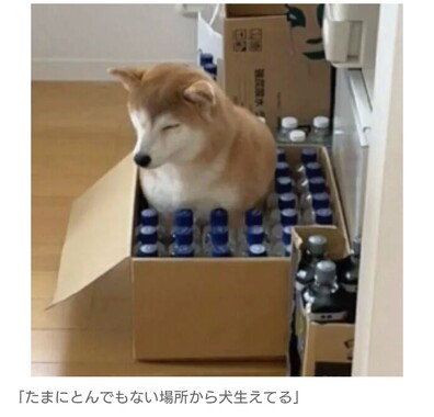 Screenshot_20260409-161137_2.png