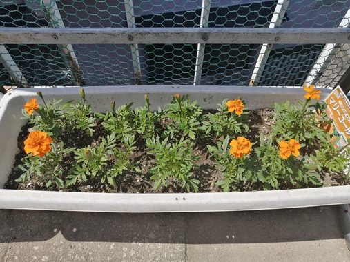 IMG_20260513_095315.jpg