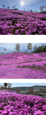 Screenshot_20260513-145440_(1).png
