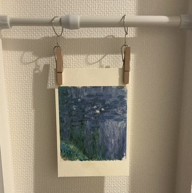 IMG_4067.jpeg