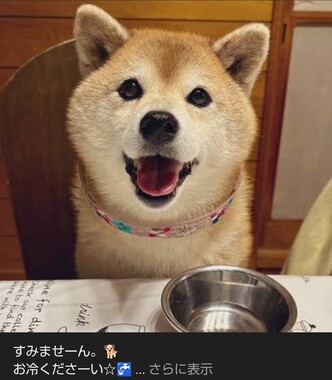 Screenshot_20260513-142128_2.png