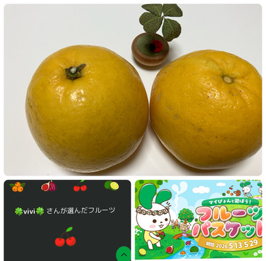 IMG_2272.jpeg