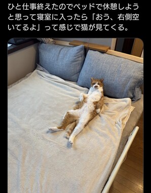 Screenshot_20260510-153720_2.png