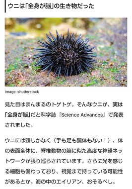 Screenshot_20260505-093216_2.png