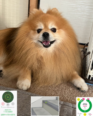 IMG_7273.jpeg