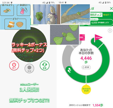 旅かえる20260520.jpg