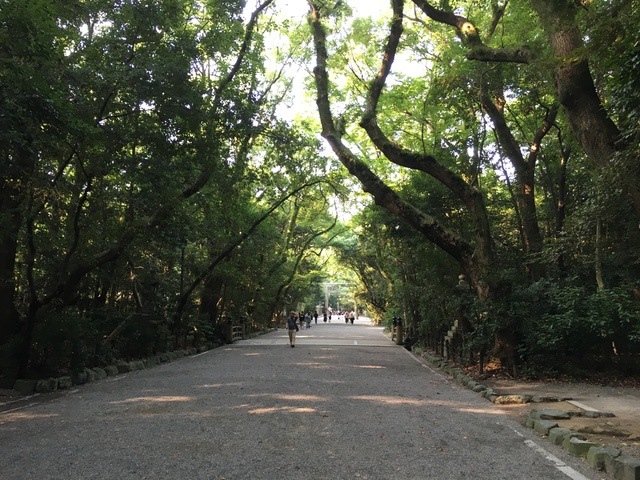 ⛩ やさしい森には神話が生きてる‥‥。 | 掲示板 | マイネ王