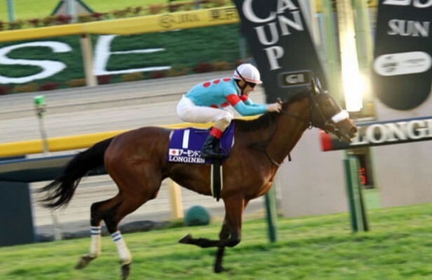 G1é¦¬ 8é ­å‡ºèµ°ã®è±ªè¯ãƒ¡ãƒ³ãƒãƒ¼ ç¬¬63å›žå¤§é˜ªæ¯ å±•æœ› ãƒ‰ãƒã‚¤ãƒ¯ãƒ¼ãƒ«ãƒ‰ã‚«ãƒƒãƒ—çµæžœ æŽ²ç¤ºæ¿ ãƒžã‚¤ãƒçŽ‹