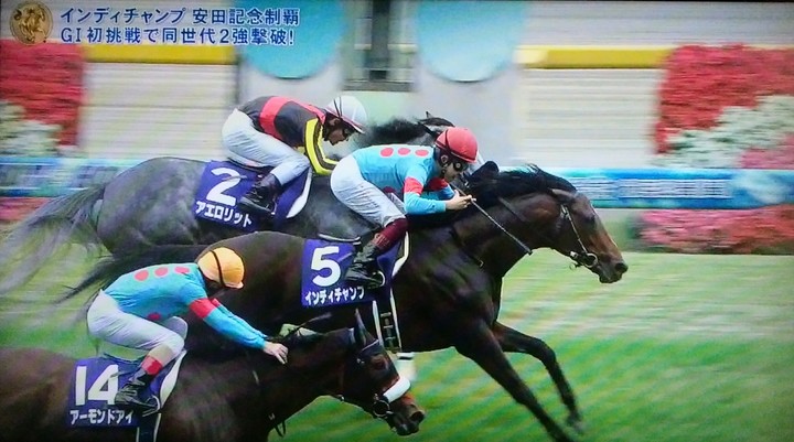 レビュー高評価の商品！ 🐴アーモンドアイ敗れる！【第69回安田記念】結果 | 掲示板 コレクション