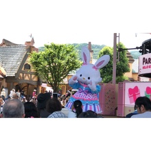 D24D00ED-3154-4F4F-A42E-27F3D6B000D0.jpeg