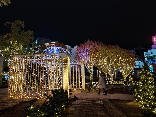 IMG20191128190532.jpg