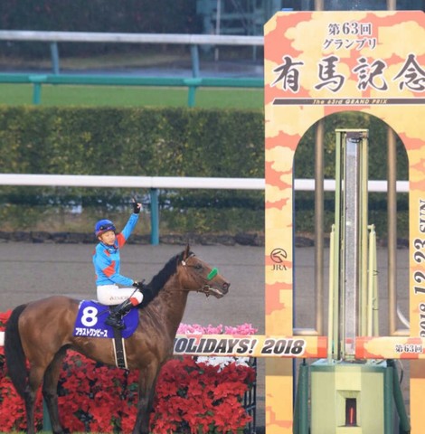 全ての競馬ファンの夢を乗せて走る サラブレッド16頭 第64回有馬記念 展望 掲示板 マイネ王 全ての競馬ファンの夢を乗せて走る サラブレッド16頭 第64回有馬記念 展望 掲示板 マイネ王