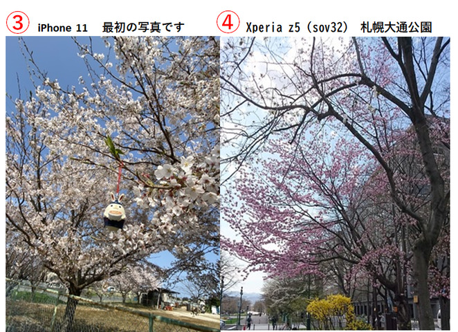 桜風景２.png