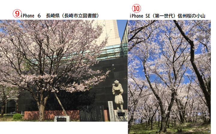 桜風景５.png