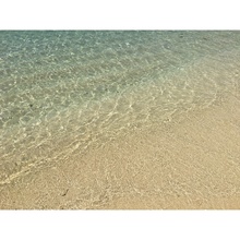 FF304532-4BE6-4E80-9AF8-969152874D01.jpeg