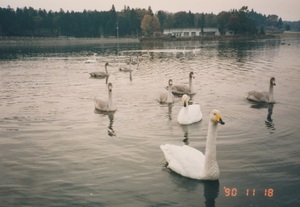 tame0002.jpg